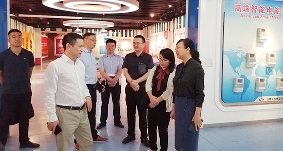 青田县组织部长金志红调研k8凯发园区党总支