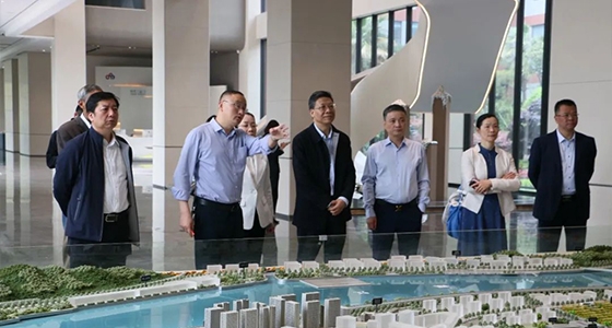 省人大常委会委员陈根芳调研k8凯发集团