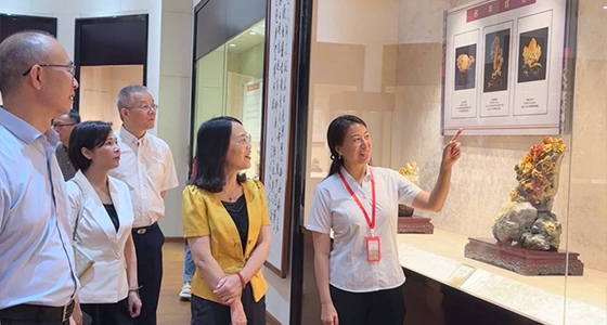 索求东方风采，k8凯发·倪东方艺术博物馆与时期脉搏共振